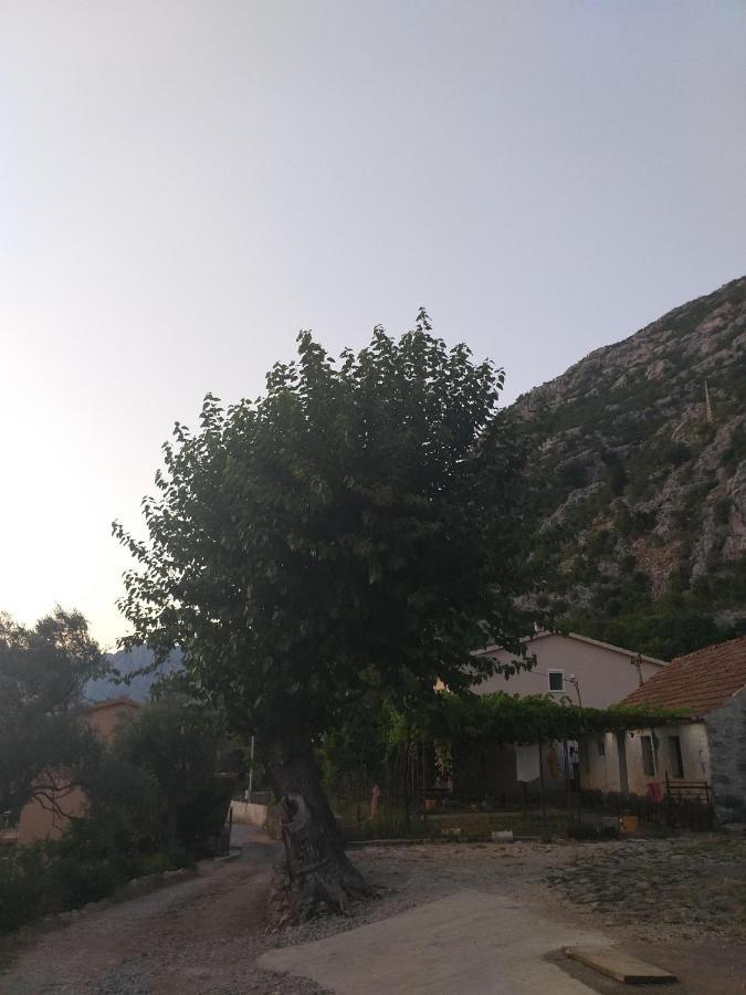 Sottomonte Apartment Kotor Exterior foto